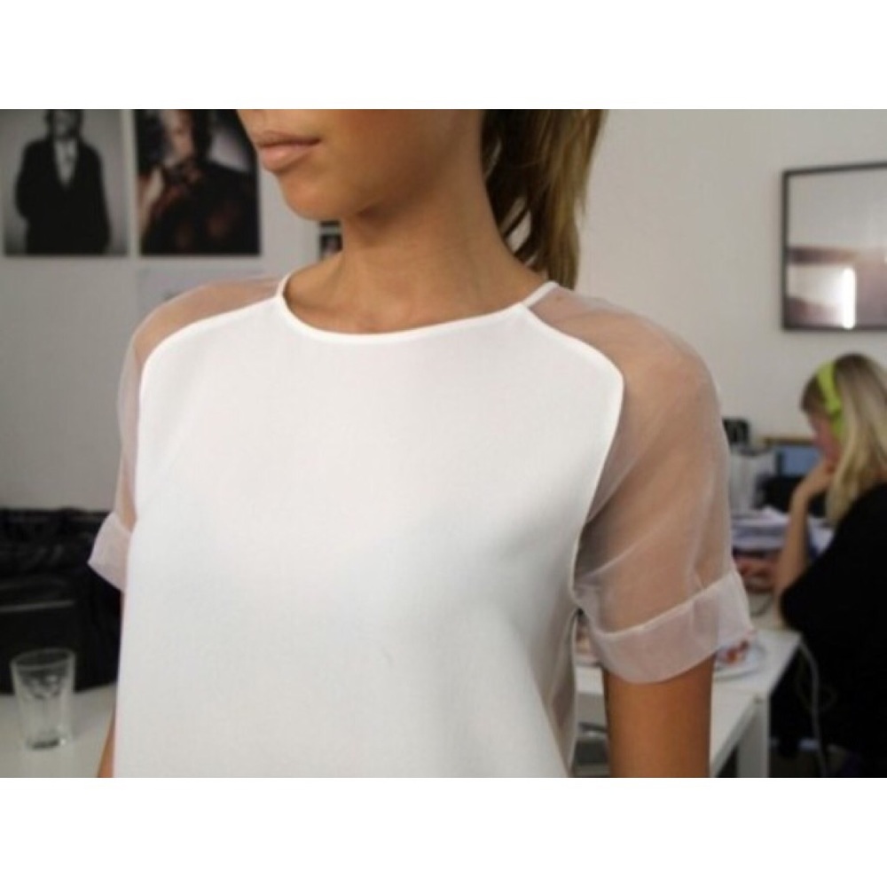 H&M Sheer Sleeve Shift Dress
